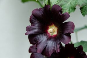 bridesmaid flowers simple